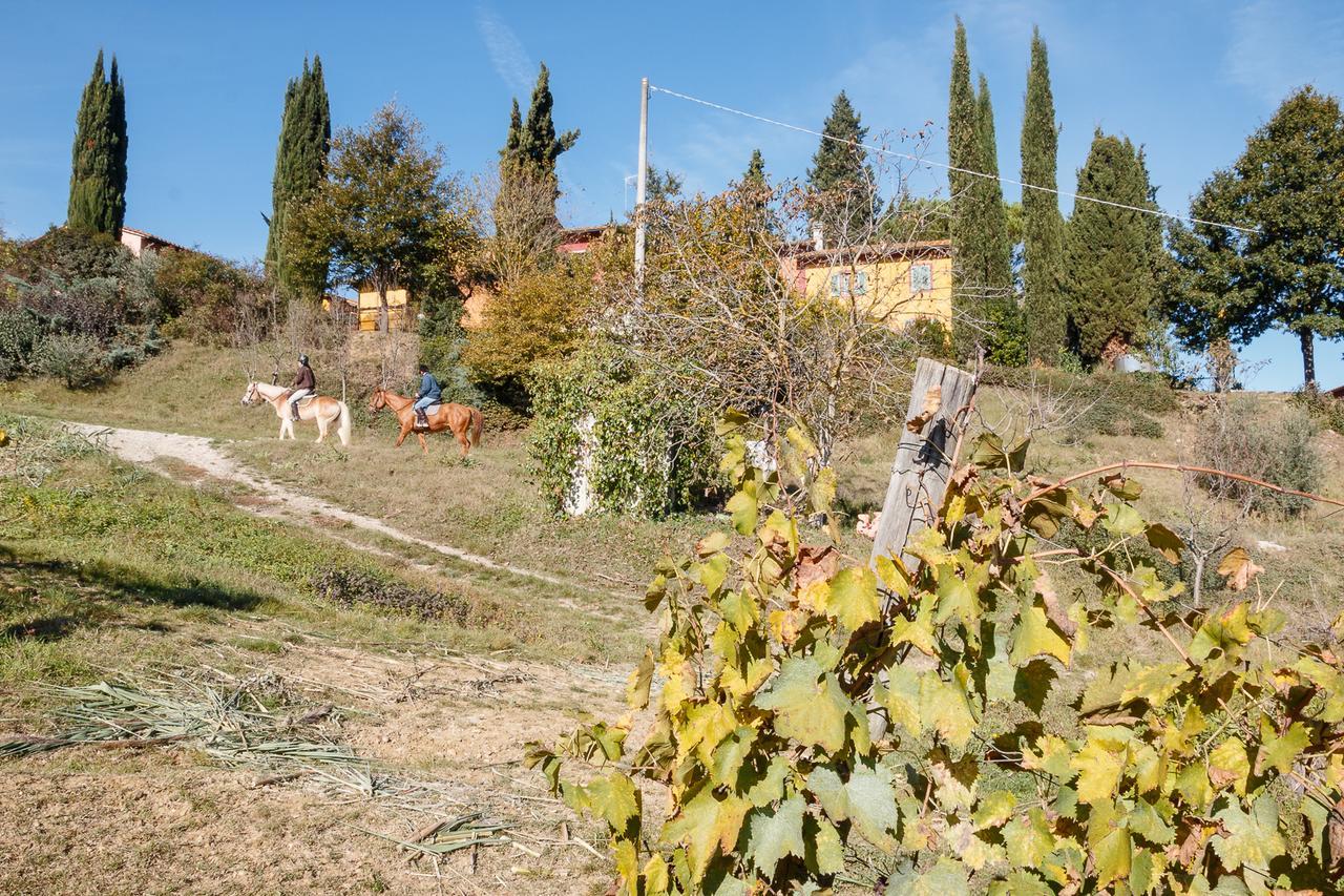 Podere Dell'Anselmo مونتيزبيرتولي المظهر الخارجي الصورة